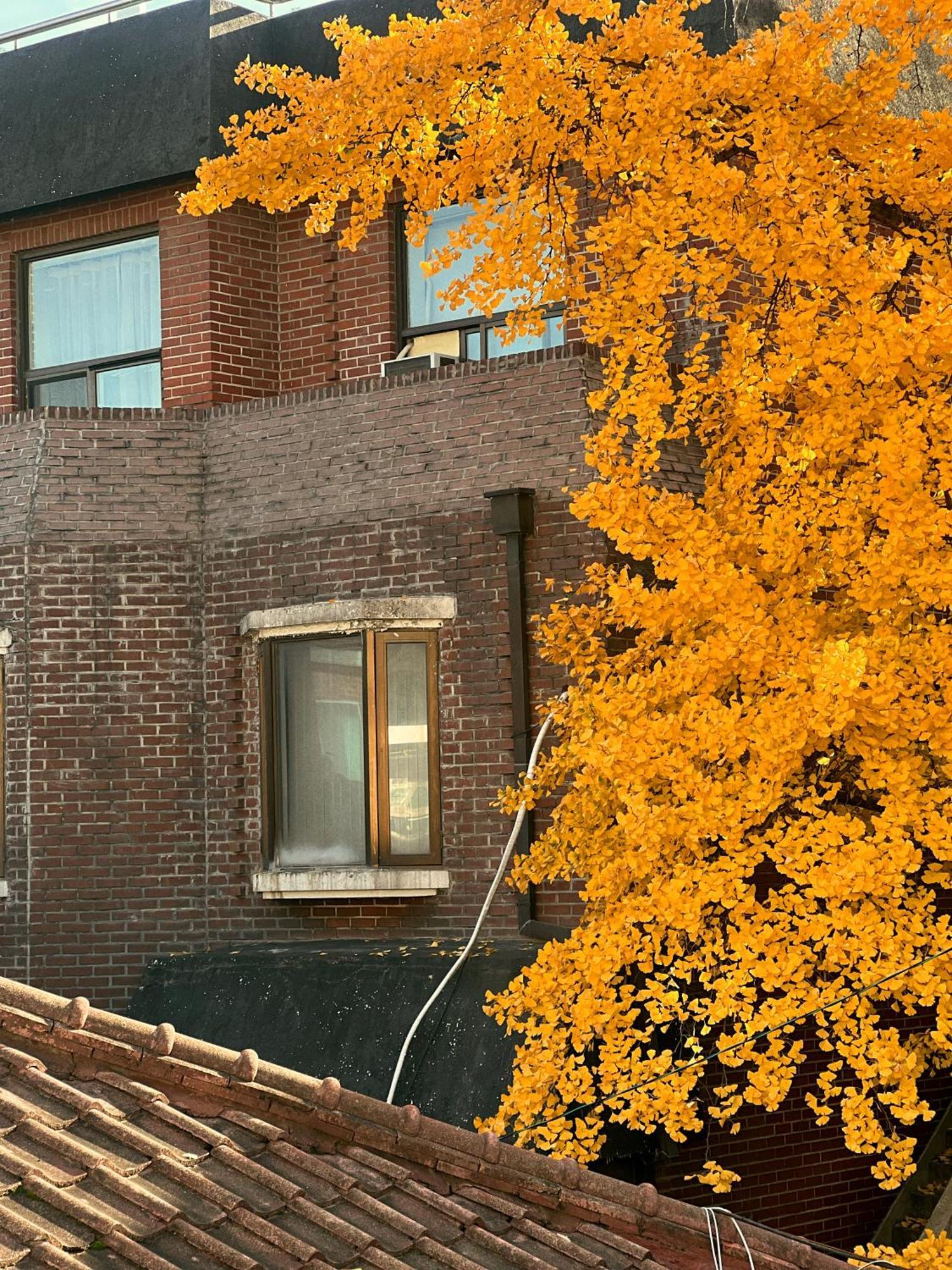 Jnineguesthouse Seoul Exterior foto